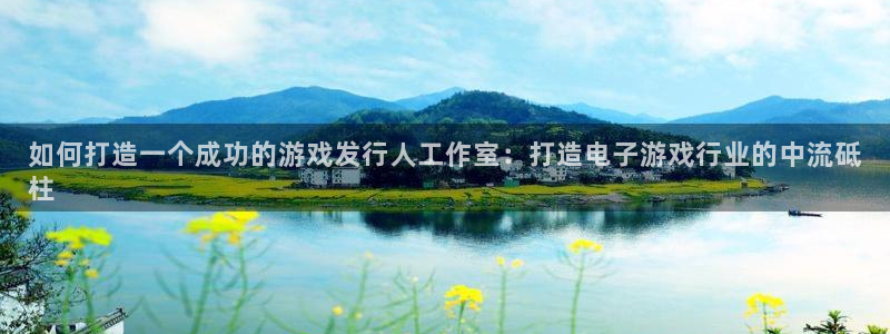 新城平台注册资金多少亿：如何打造一个成功的游戏发行人工作室：打造电子游戏行业的中流砥
柱