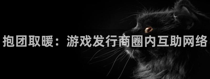 新城平台进.新城平台.稳定风险提示