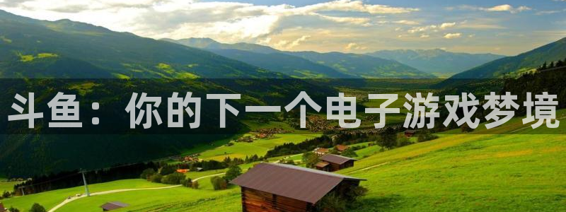 新城平台注册资金多少亿