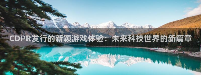 新城平台官网注册流程