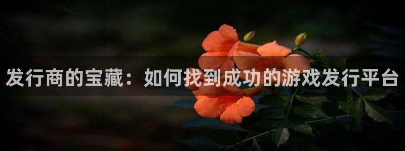 新城平台官网注册账号