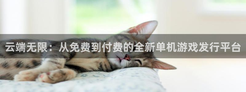 新城平台注册资金多少亿