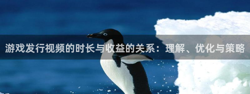 新城平台登录入口官网首页