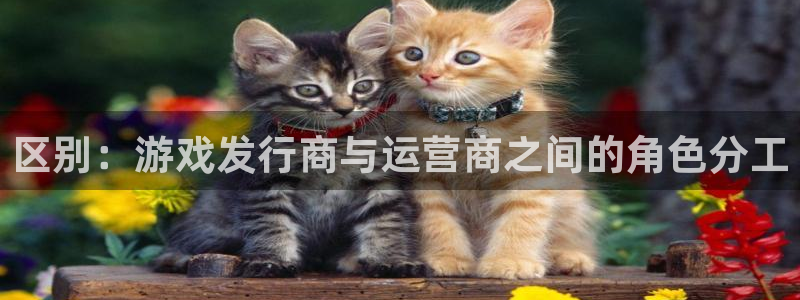 新城平台注册资金多少