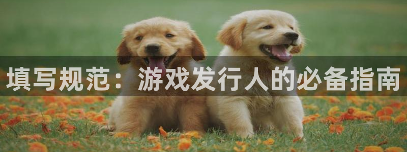 新城平台负责人名单