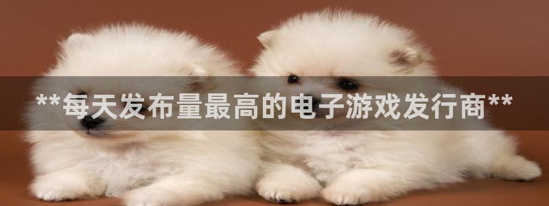 新城平台官网注册账号：**每天发布量最高的电子游戏发行商**