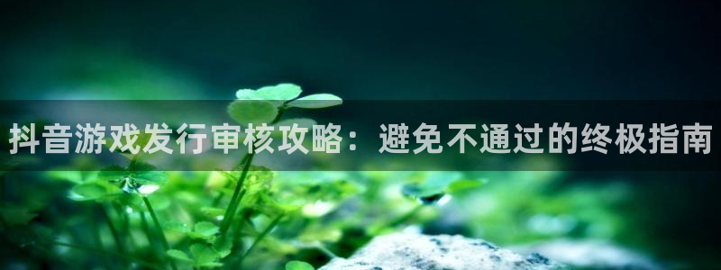 新城平台登录入口官网首页下载：抖音游戏发行审核攻略：避免不通过的终极指南