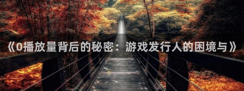 新城平台线路登录不上去怎么办呢：《0播放量背后的秘密：游戏发行人的困境与》
