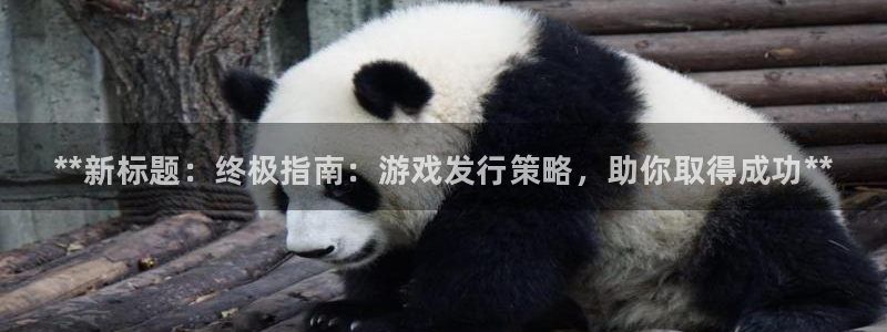 新城平台负责人是谁