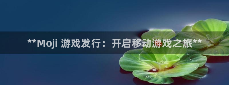 新城平台公司是国企吗