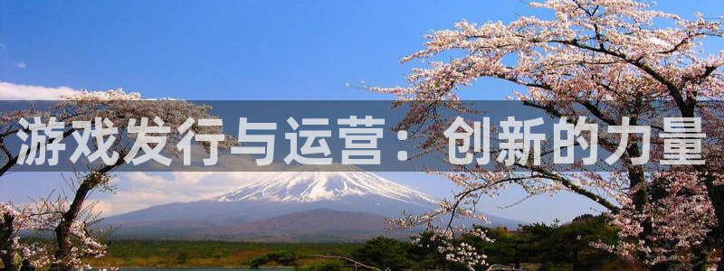 新城平台记7O777